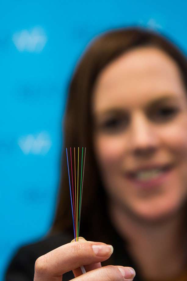 Nicole Ferguson and Hawaiki Cable.original